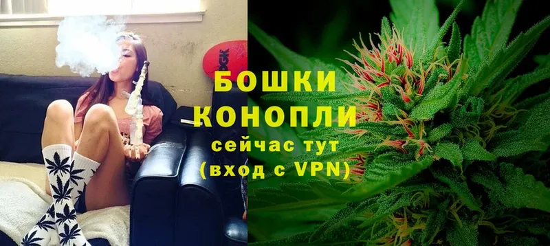 МАРИХУАНА SATIVA & INDICA  наркотики  Гусь-Хрустальный 